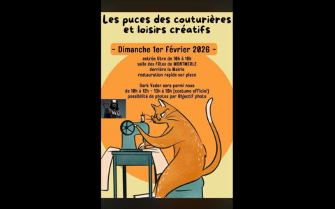 Puces des couturières et des loisirs - DARK VADOR